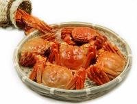 馮悅 興化大閘蟹商城