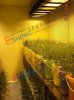 頂置光源氣候室