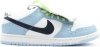 nike dunk sb shoes