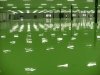 三德利油漆涂料，專業的建筑涂料