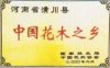 河南潢川花木銷售價格表