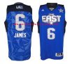 James the west all star 2011 nba jerseys