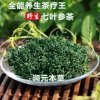 減肥女士的至愛絞股藍茶