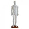 人體針灸模型60CM