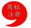 注冊海內外公司