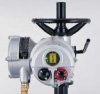 英國羅托克ROTORK執行器
