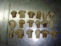 鹽漬菌子