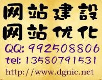 東莞網站建設 東莞網絡公司